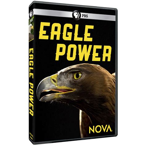 Eagle Power Parimatch